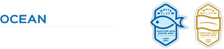OACM solutions